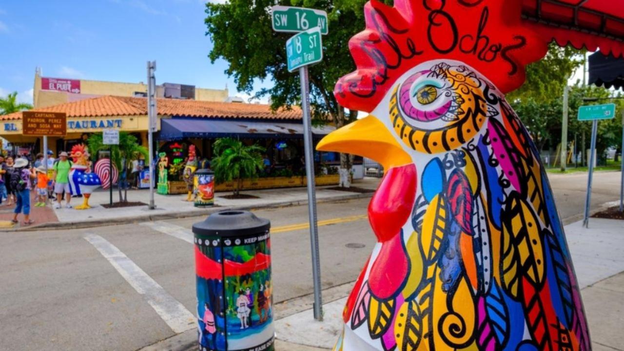 The Marlin Rooster Apartments Miami Kültér fotó